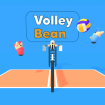 Volley ball